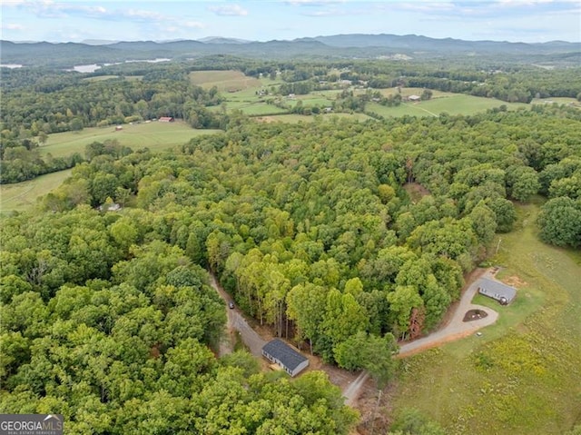 birds eye view of property featuring a mountain view