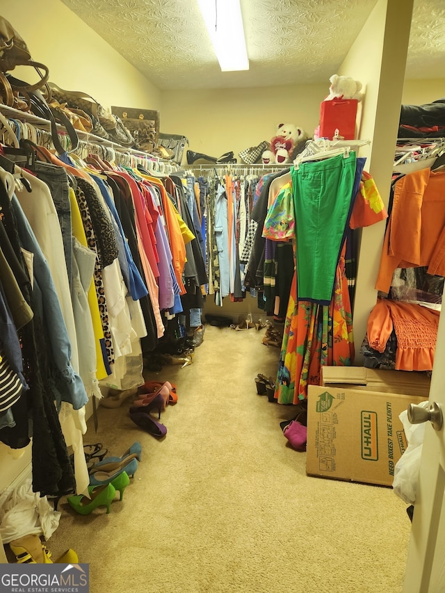 walk in closet featuring carpet flooring