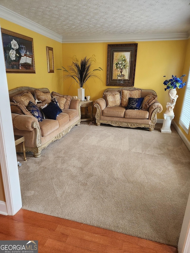 carpeted living area featuring crown molding and a textured ceiling