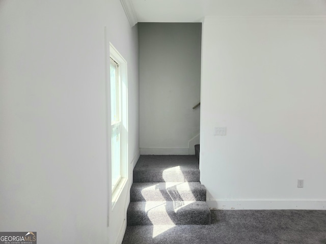 interior space with carpet, baseboards, and crown molding