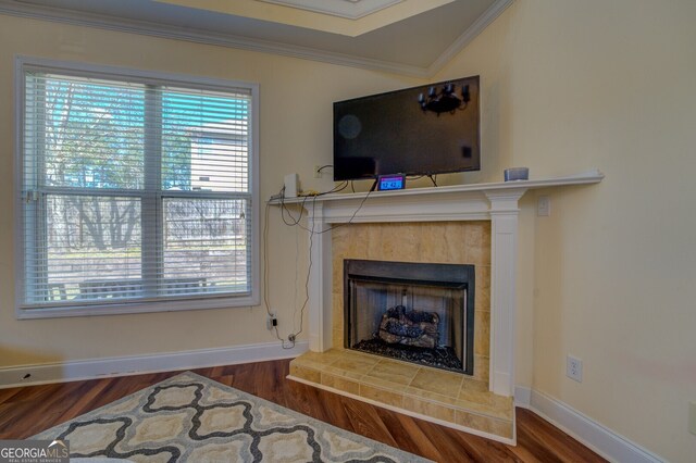 room details featuring a fireplace, ornamental molding, and hardwood / wood-style floors