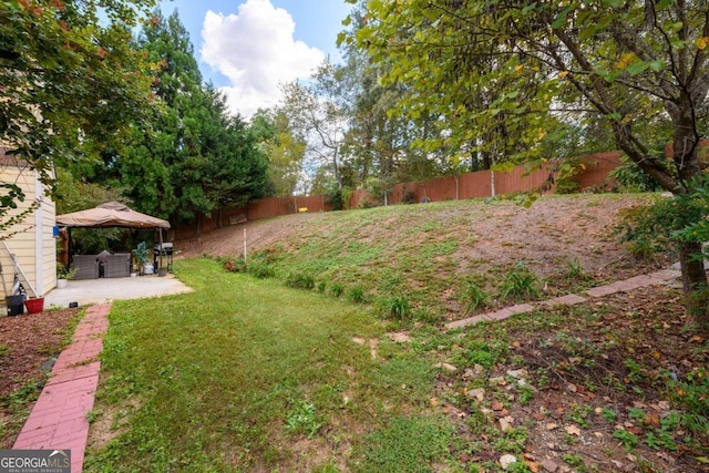 view of yard featuring a patio area