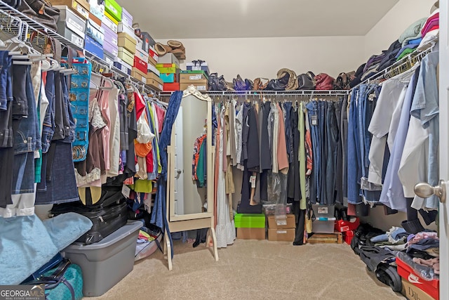 walk in closet with carpet flooring