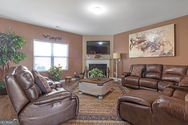 living room featuring wood-type flooring