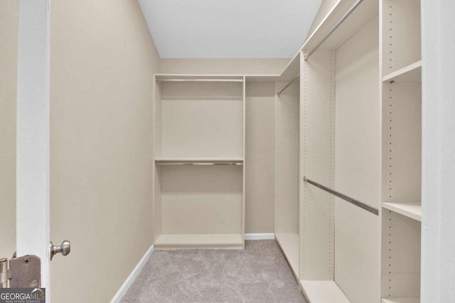 spacious closet with light colored carpet