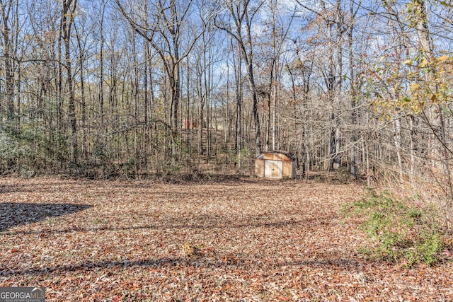 view of yard featuring a shed