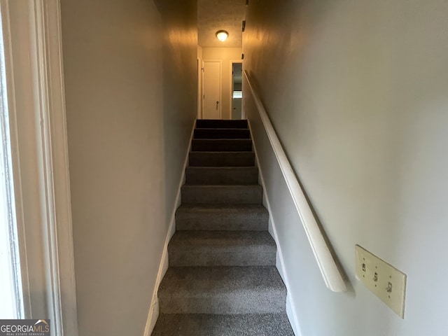 staircase with carpet floors