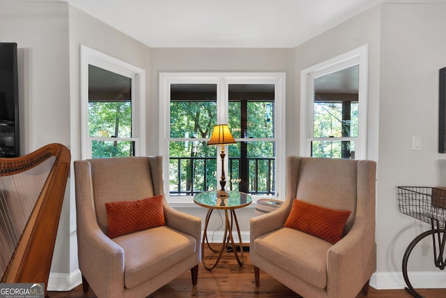 living area featuring hardwood / wood-style flooring