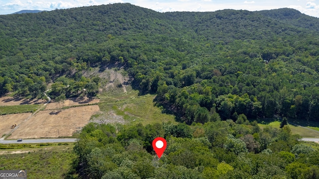 bird's eye view with a mountain view