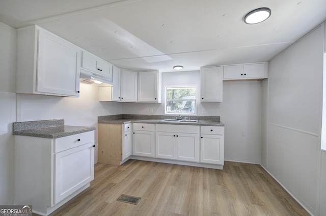 127 Rising Fawn Trl, Rome, GA 30165 - kitchen with under cabinet range hood, light wood-type flooring, and white cabinets