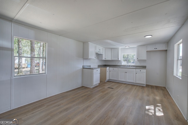 kitchen with white cabinets and light hardwood / wood-style floors