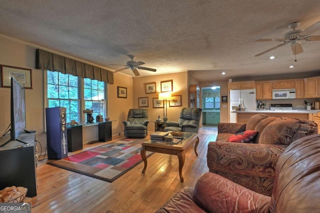 living room featuring light hardwood / wood-style floors, crown molding, ceiling fan, and a textured ceiling