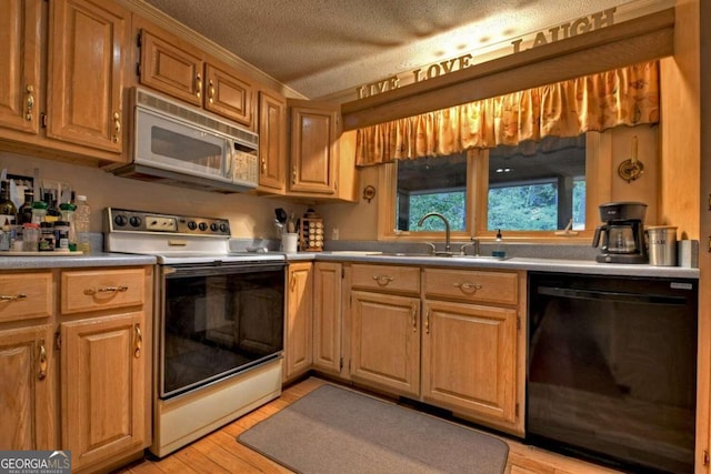 kitchen with light hardwood / wood-style flooring, white appliances, a textured ceiling, and sink