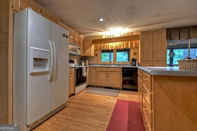 kitchen with light wood-type flooring, white appliances, a textured ceiling, and a healthy amount of sunlight