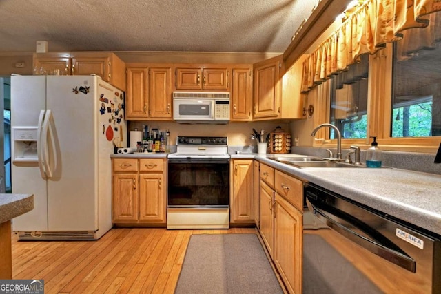 kitchen featuring sink, a textured ceiling, light hardwood / wood-style floors, and white appliances