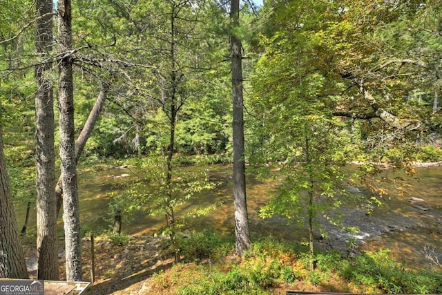 view of landscape featuring a water view