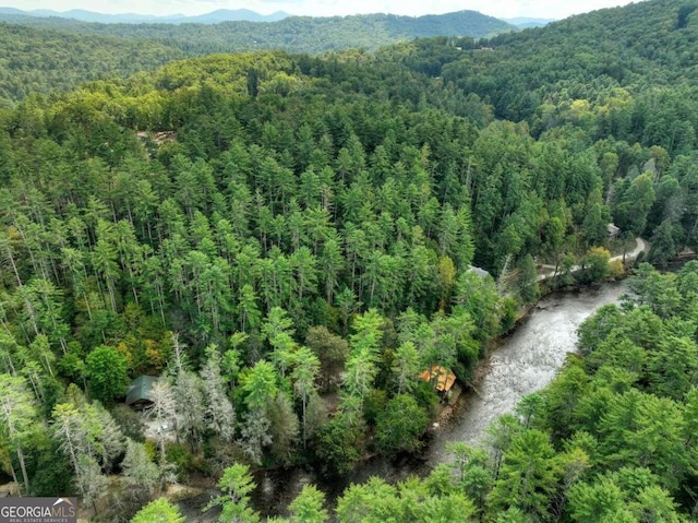 drone / aerial view featuring a mountain view