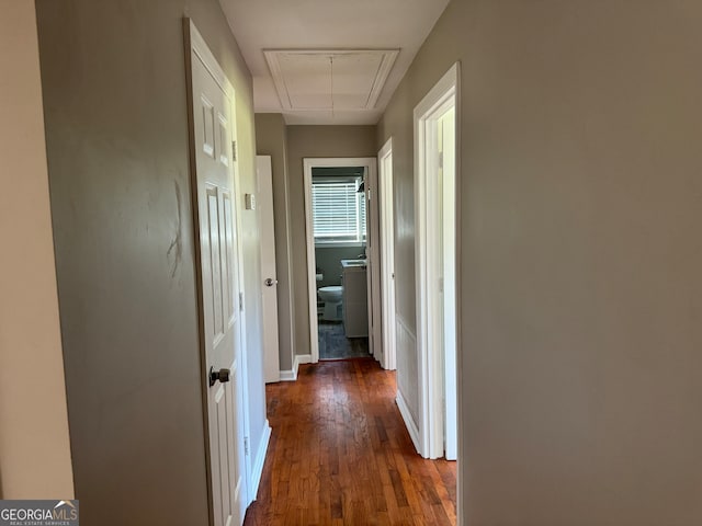 hallway featuring dark wood-type flooring