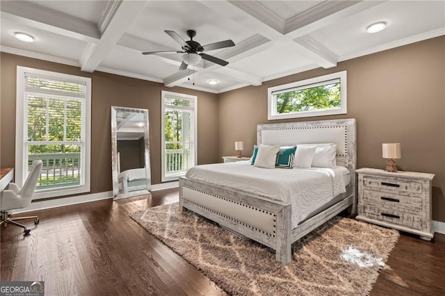 bedroom featuring ceiling fan, dark wood-type flooring, and multiple windows