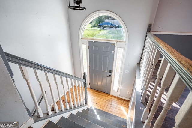 foyer with hardwood / wood-style flooring