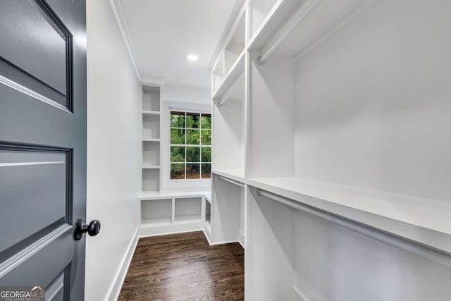 spacious closet featuring dark wood finished floors