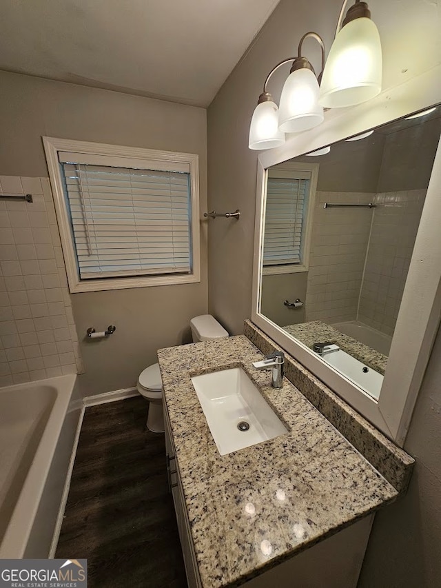 bathroom with hardwood / wood-style flooring, vanity, and toilet