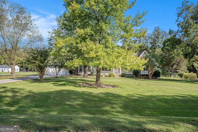 view of front of house with a front lawn