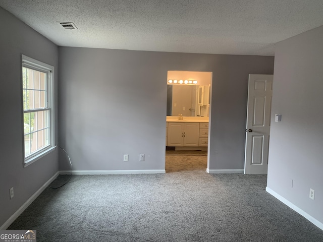 empty room with sink, carpet, and a textured ceiling