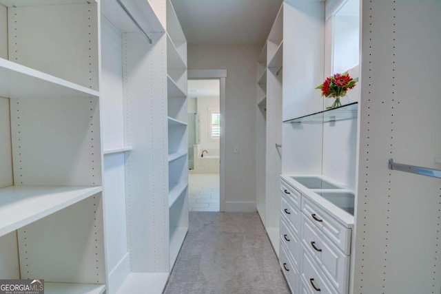 spacious closet featuring light colored carpet