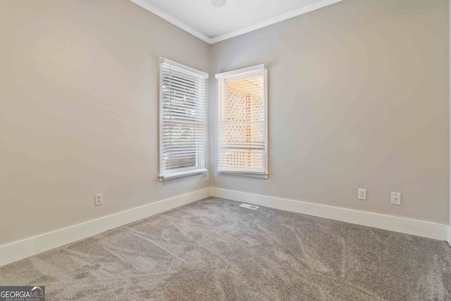 spare room with carpet floors and crown molding