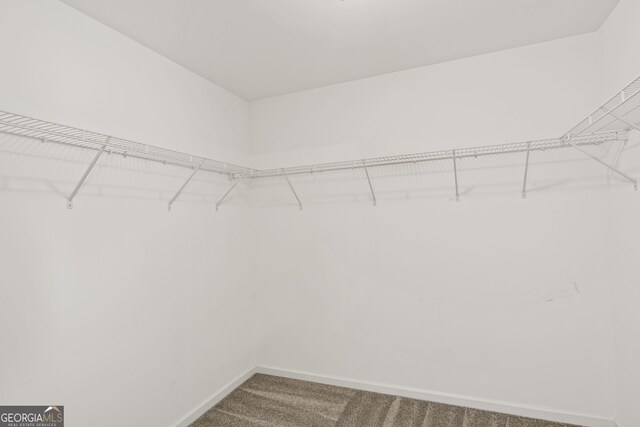 23 Brookview Dr, Newnan, GA 30265 - spacious closet with carpet flooring