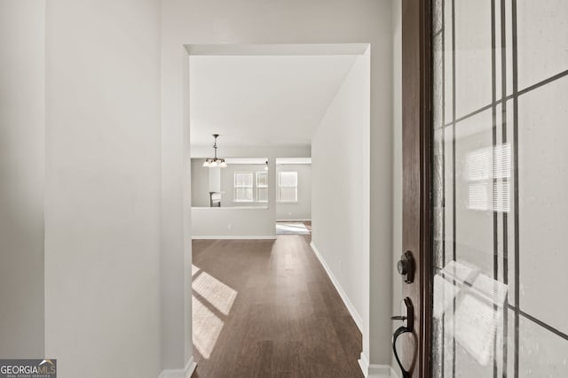 corridor featuring a notable chandelier and dark hardwood / wood-style flooring