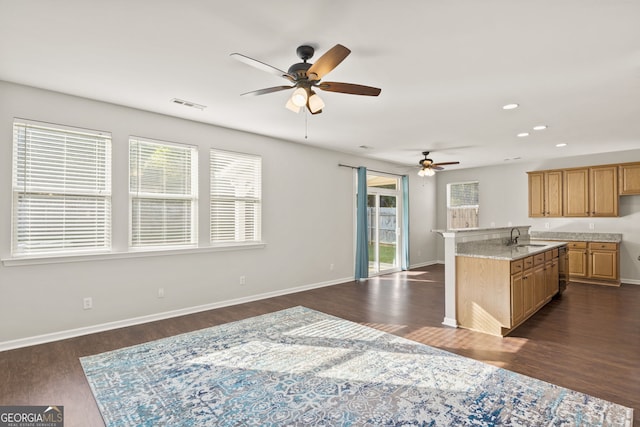 kitchen with a healthy amount of sunlight, sink, dark wood-type flooring, and ceiling fan