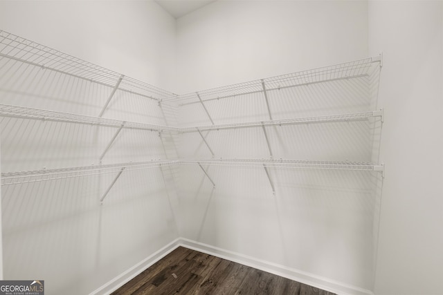 walk in closet featuring dark hardwood / wood-style floors