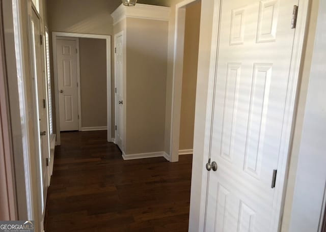 hall featuring dark hardwood / wood-style floors