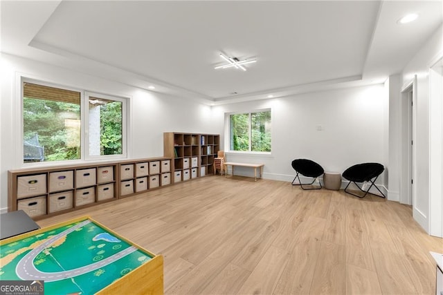 interior space featuring wood-type flooring and a raised ceiling