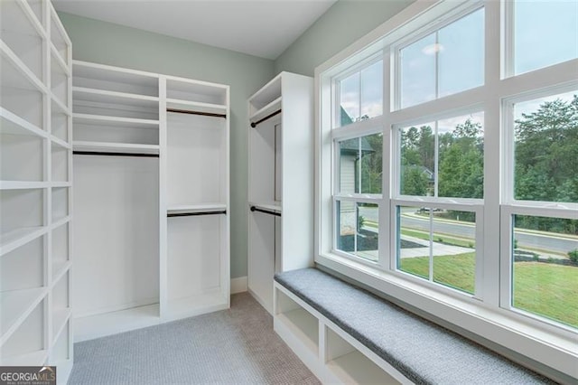 walk in closet with carpet