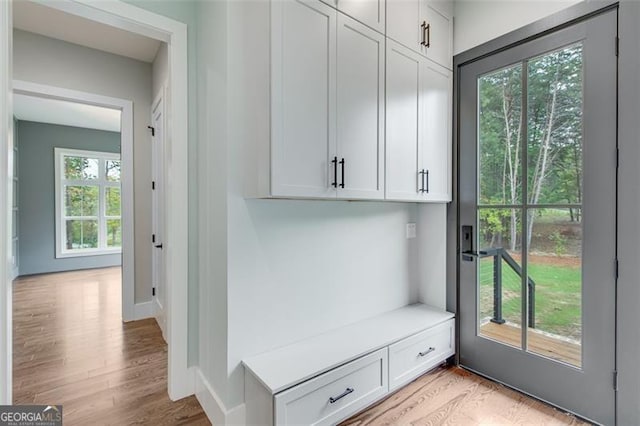 mudroom featuring light wood-type flooring and plenty of natural light