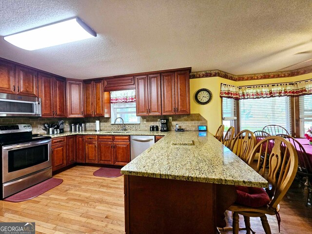 kitchen with appliances with stainless steel finishes, light wood-type flooring, kitchen peninsula, and a healthy amount of sunlight