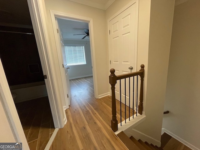 corridor featuring light hardwood / wood-style floors