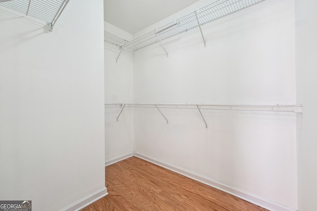 spacious closet with hardwood / wood-style flooring