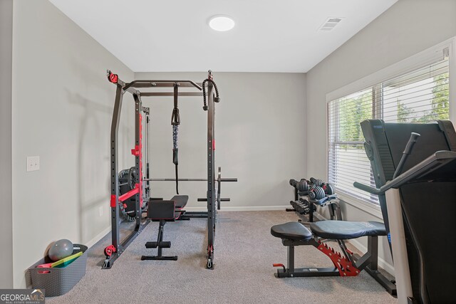 workout room featuring carpet flooring