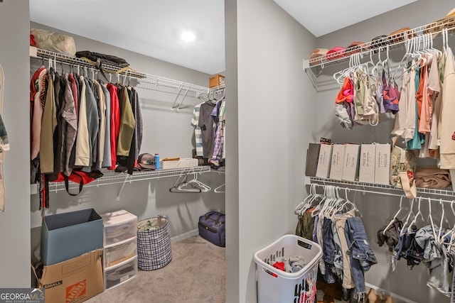 spacious closet featuring carpet