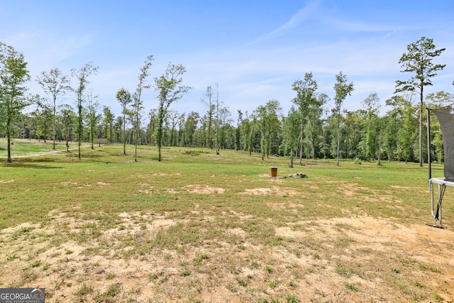 view of yard with a rural view