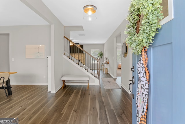 foyer with dark hardwood / wood-style floors