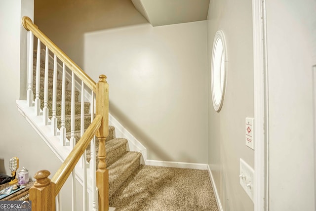 staircase featuring carpet floors