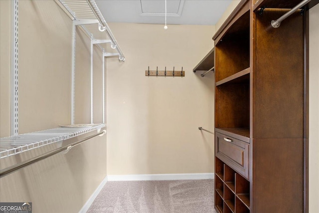 spacious closet with carpet and attic access