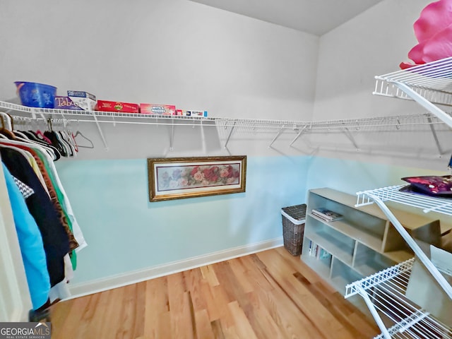 walk in closet with wood-type flooring