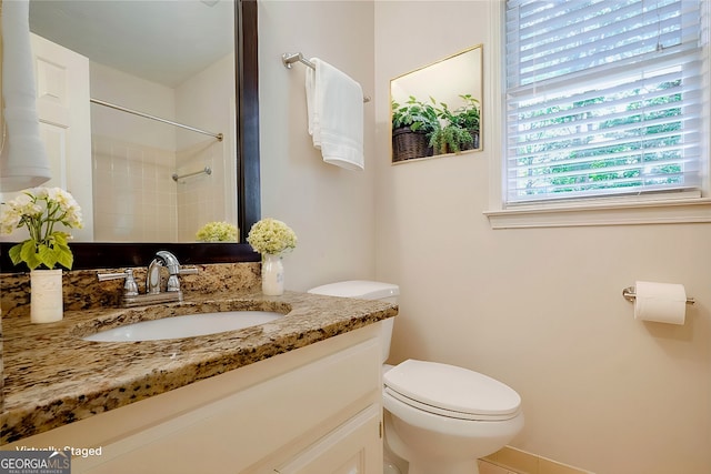 bathroom with toilet and vanity