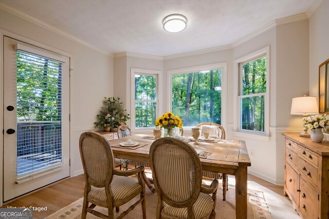 dining room with a healthy amount of sunlight, crown molding, and light hardwood / wood-style flooring